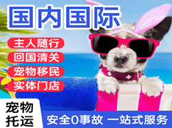 湿地航空运输国际宠物托运 【国