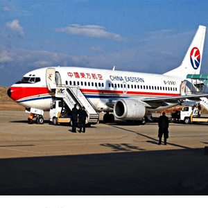 湿地航空运输航空快运业稳步发展的原因是什么？